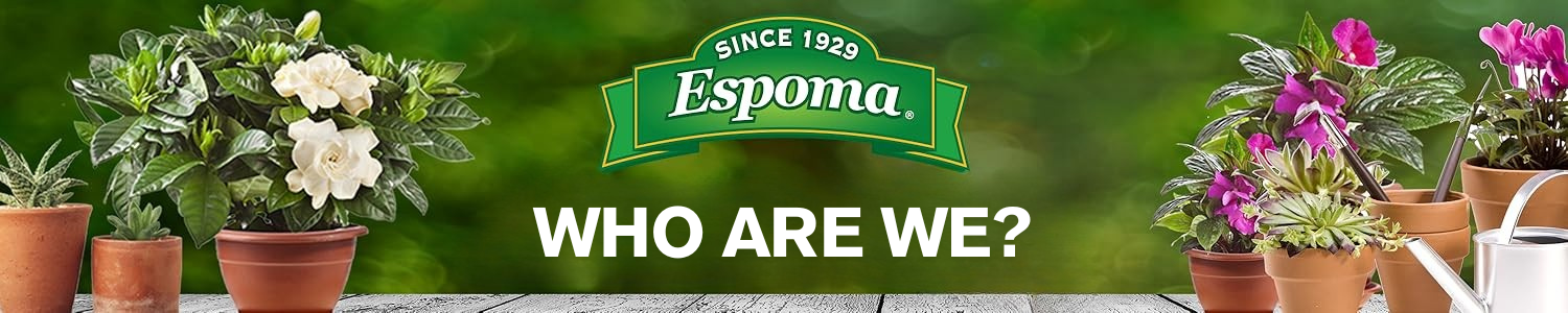 Who Are We?