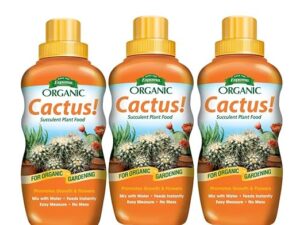 Espoma Organic Cactus! Plant Food, Natural & Organic Fertilizer for All Cactus, Succulents, Palm, and Citrus Both Indoors and Outdoors, 8 oz, Pack of 3